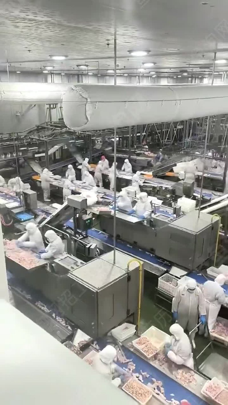 郑州蝴蝶山食品：一碗杂粮面的“逆袭”，从“难吃”到“真香”